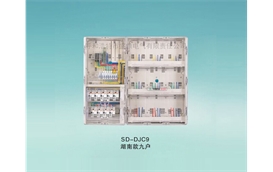 SD-DJC9湖南款電表箱九戶