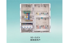 SD-DJC4湖南款電表箱四戶