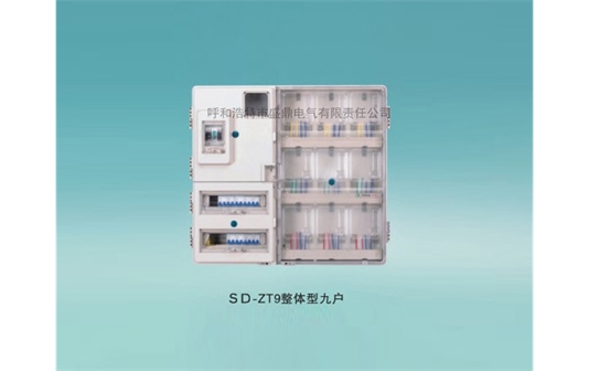 單相整體型電表箱-SD-ZT9整體型九戶(hù)