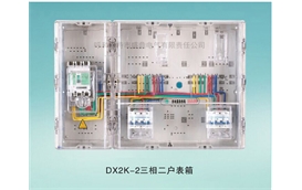 三相多表位表箱-DX2K-2三相二戶表箱